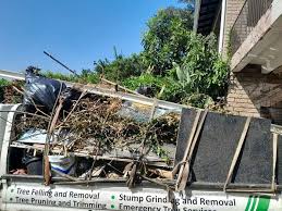 Best Shed Removal  in Clinton, NC